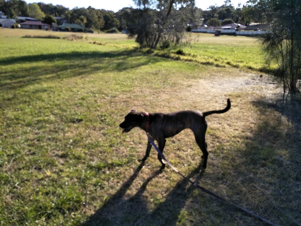 Carey Bay Dog Exercise Area | park | 68 Excelsior Parade, Carey Bay NSW 2283, Australia
