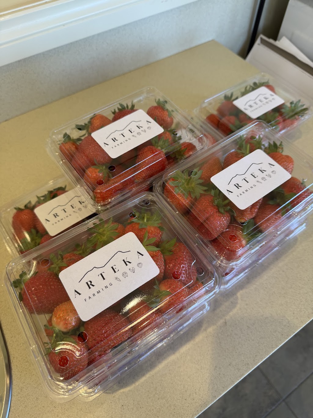 Arteka Farming | 65A Kannenbergs Rd, Hamilton VIC 3300, Australia | Phone: 0459 485 776 Arteka Farming | 65A Kannenbergs Rd, Hamilton VIC 3300, Australia | Phone: 0459 485 776