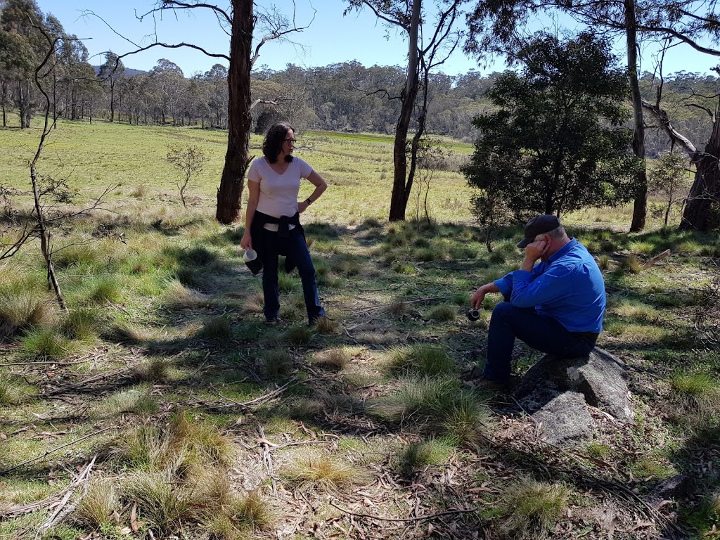 Badja Swamps Nature Reserve | Badja NSW 2630, Australia