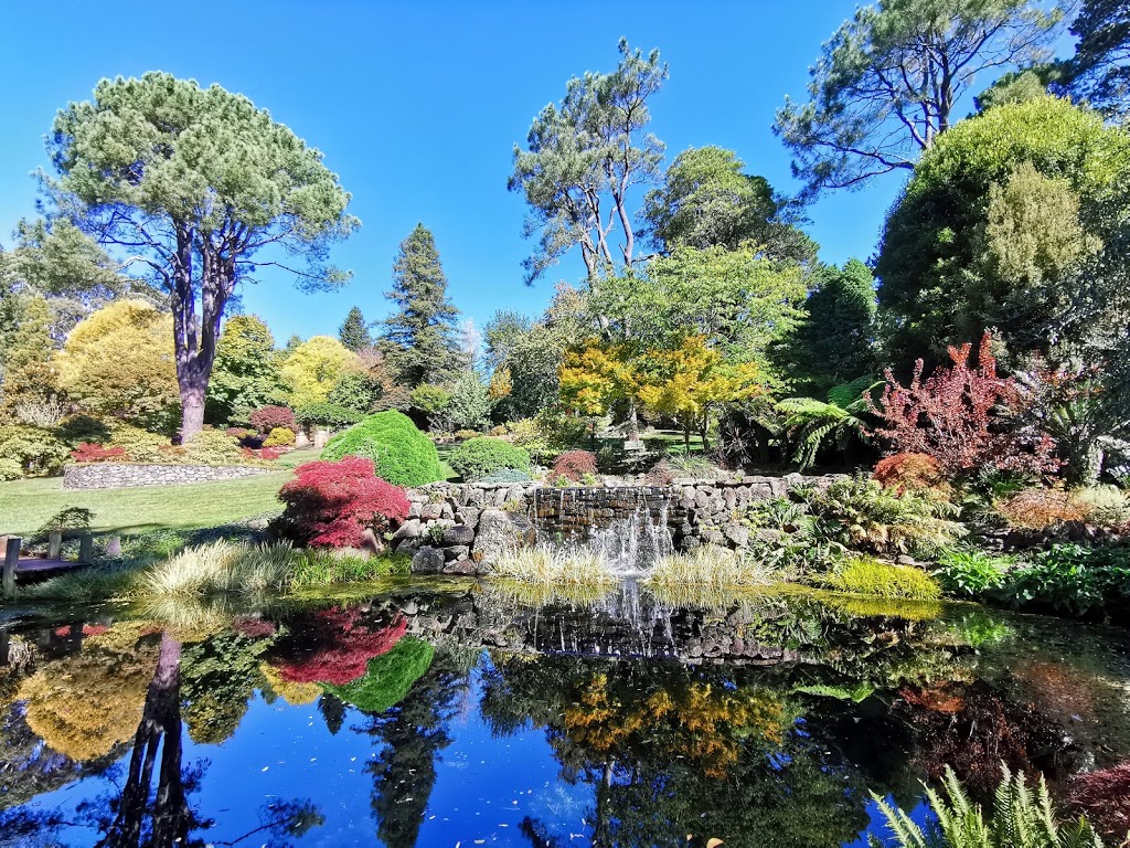 Windyridge Garden | park | 25 Queens Ave, Mount Wilson NSW 2786, Australia | 0247562019 OR +61 2 4756 2019