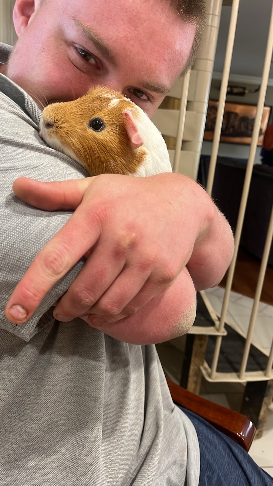 Lisa’s Pet Sitting Services | Towrang Vale Rd, Dairymans Plains NSW 2630, Australia | Phone: 0452 420 178