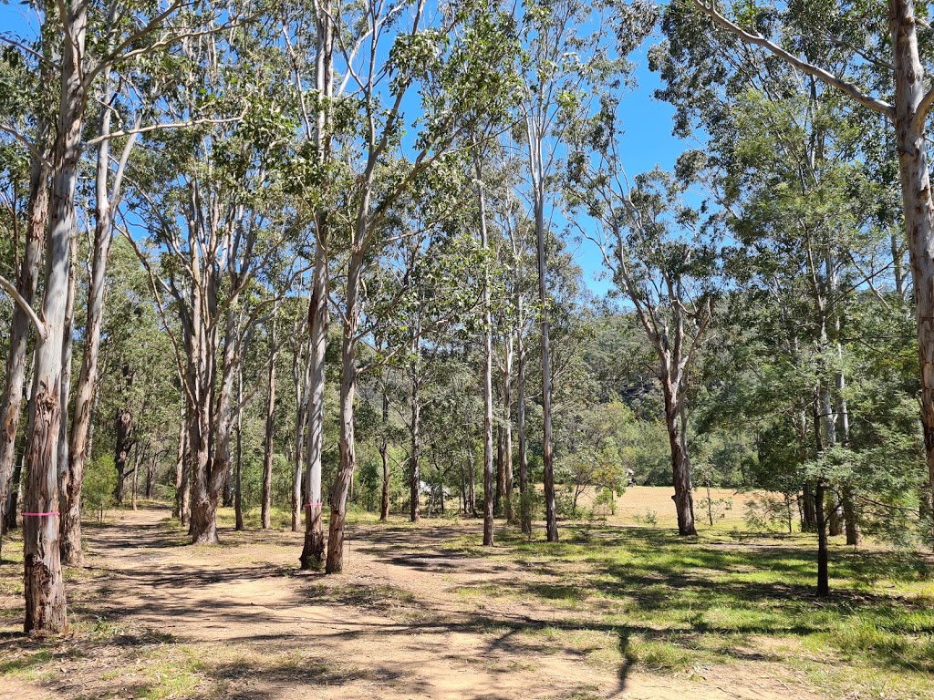 Wattle Valley Farm | campground | 2579 Paynes Crossing Rd, Paynes Crossing NSW 2325, Australia