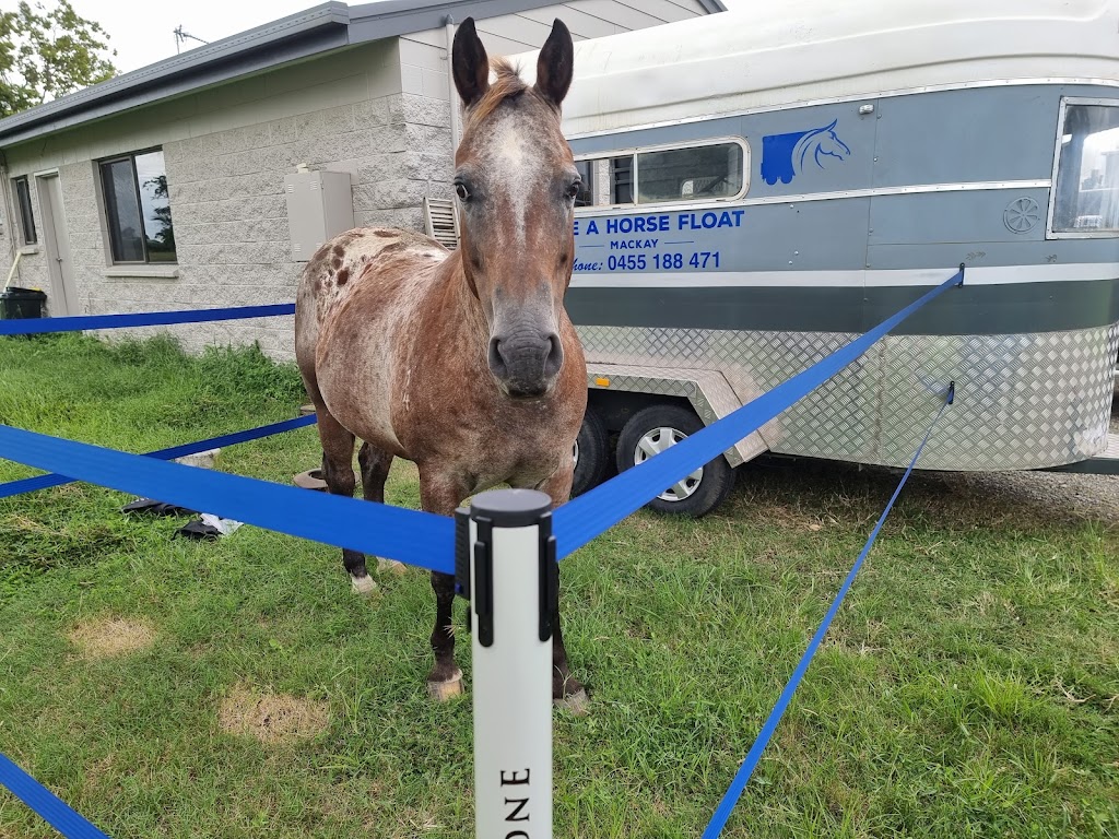Hire A Horse Float Mackay | 21 Enterprise St, Paget QLD 4740, Australia | Phone: 0423 655 799