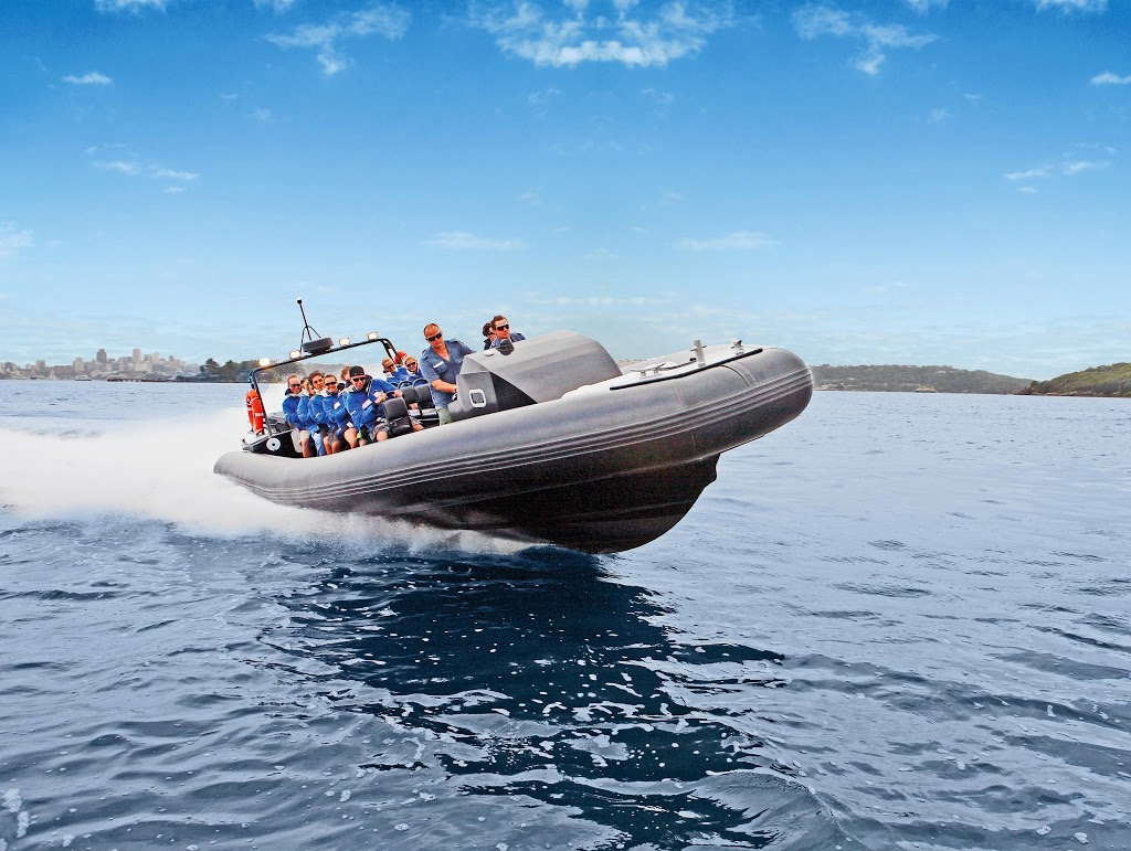 Manly Ocean Adventures | travel agency | 1/40 E Esplanade, Manly NSW 2095, Australia | 1300062659 OR +61 1300 062 659