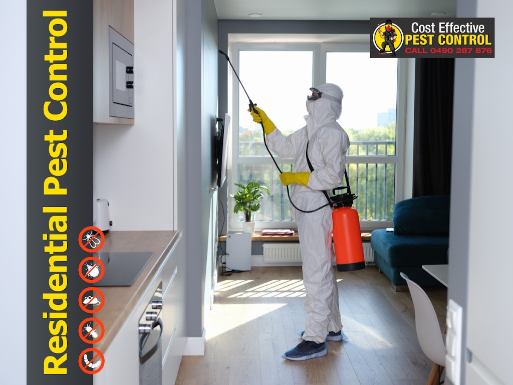 Cost Effective Pest Control | 117 Lake Entrance Rd, Barrack Heights NSW 2528, Australia | Phone: 0490 287 876