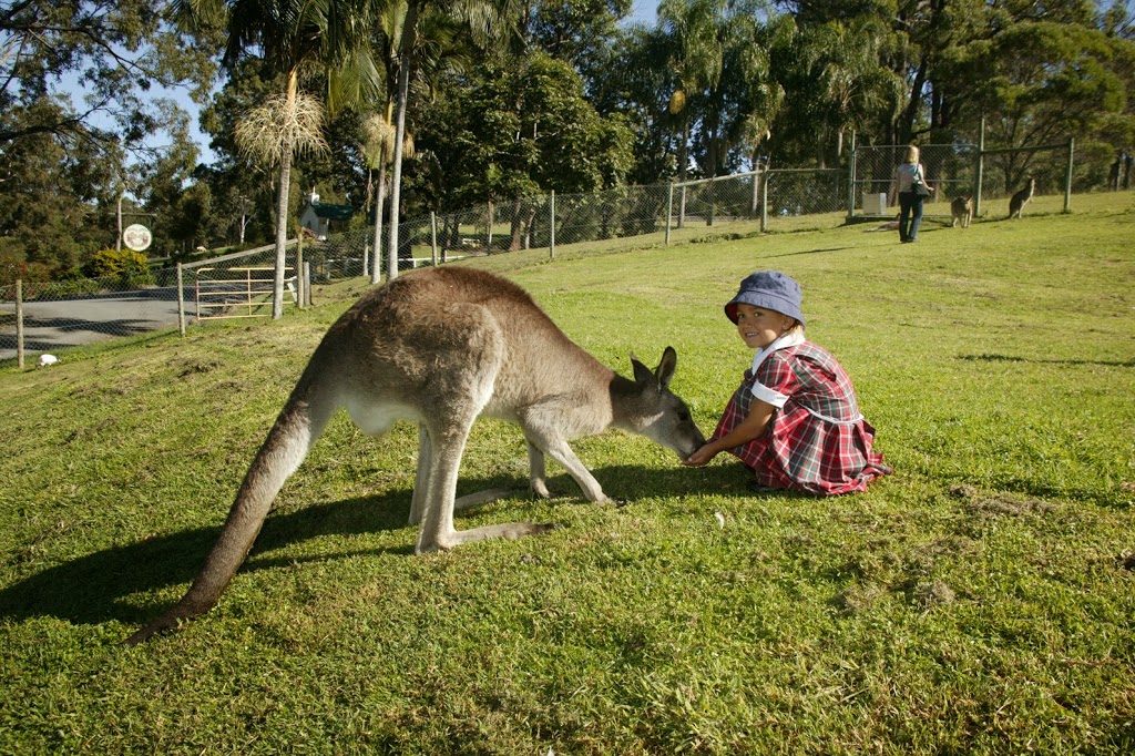 Paradise Country | zoo | Production Drive, Oxenford QLD 4210, Australia | 133386 OR +61 133386