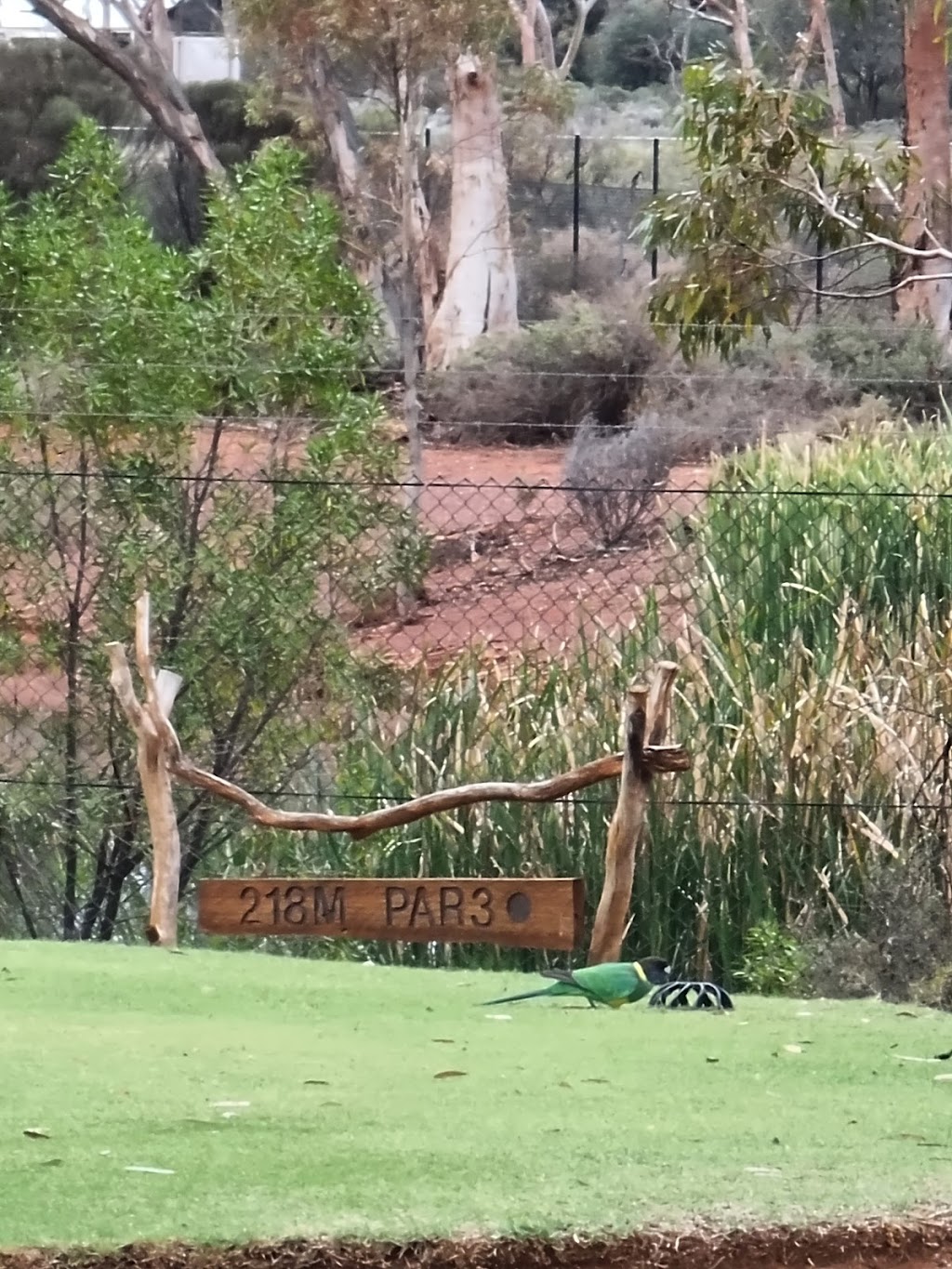Goldfields Golf Club | 93 Aslett Dr, Karlkurla WA 6430, Australia | Phone: (08) 9021 1330