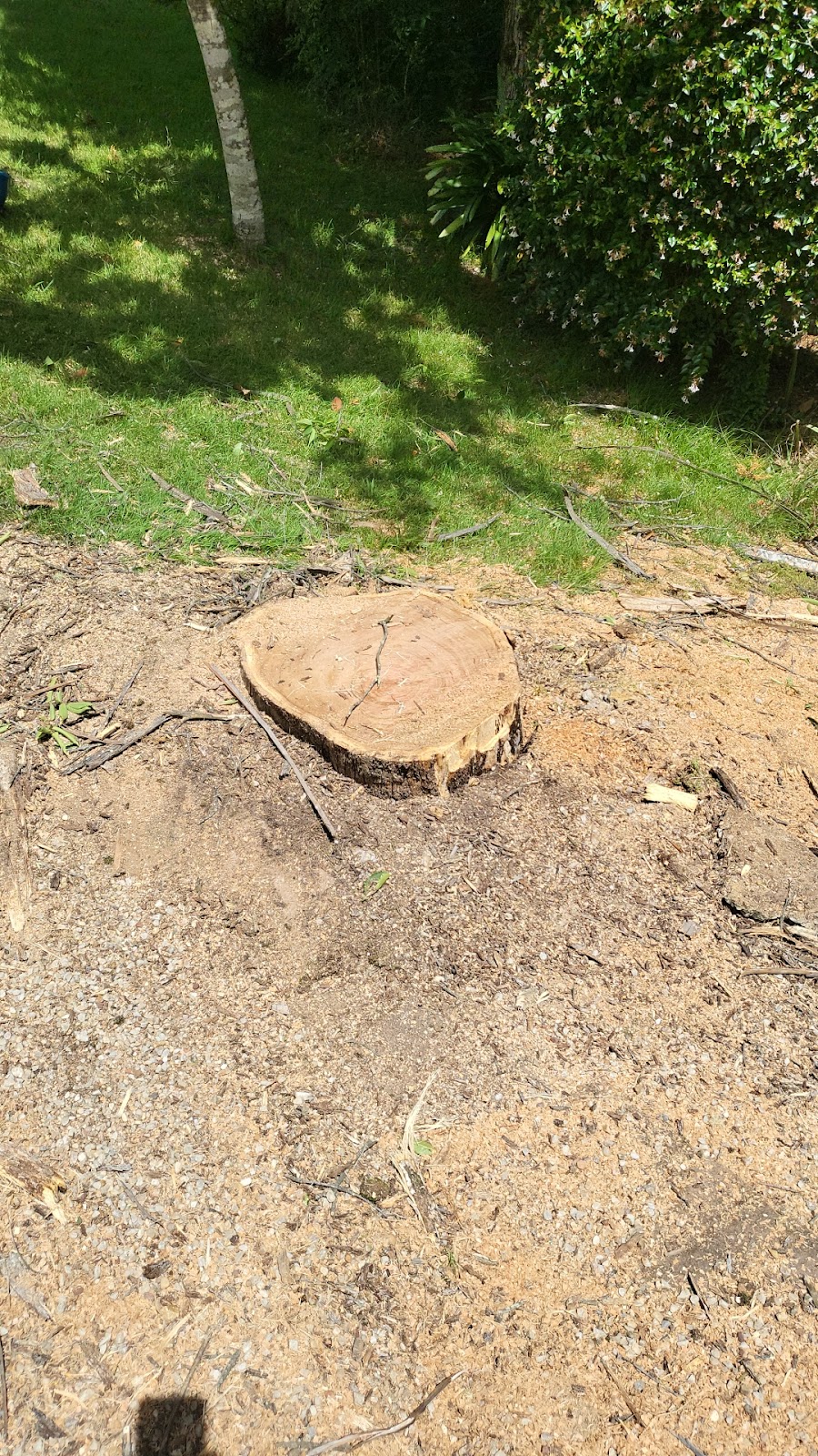 CB TREE SERVICES PTY LTD | 18 Boronia Rd, Bullaburra NSW 2784, Australia | Phone: 0458 052 658