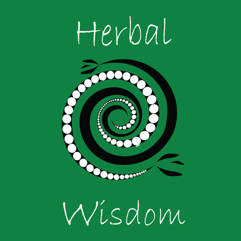 Herbal Wisdom Bangalow - Natural Foods, Health & Massage | 64 Byron St, Bangalow NSW 2479, Australia | Phone: (02) 6687 0457