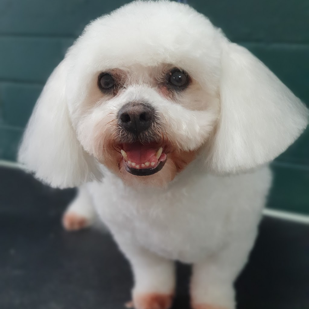 Dog Grooming by Inese |  | Fullbrook Dr, Sunbury VIC 3429, Australia | 0423009822 OR +61 423 009 822