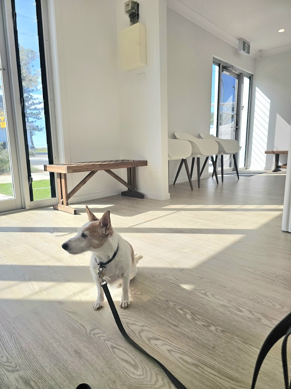 Lennox Head Vet Clinic | 98 Ballina St, Lennox Head NSW 2478, Australia | Phone: (02) 6681 5760