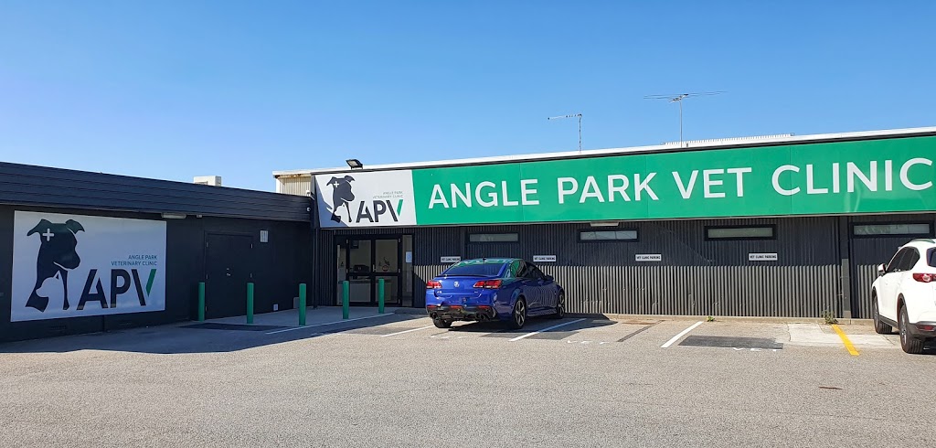 Angle Park Veterinary Clinic PTY LTD | 55 Cardigan St, Angle Park SA 5110, Australia | Phone: (08) 8243 7145