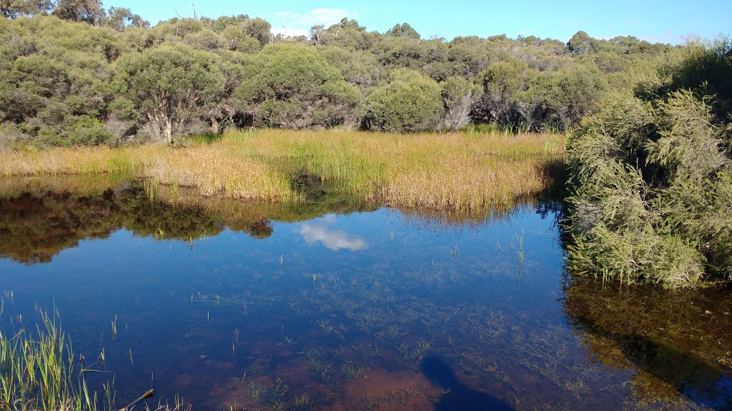 Star Swamp Bushland Reserve | park | Groat St, North Beach WA 6020, Australia | 0894207207 OR +61 8 9420 7207