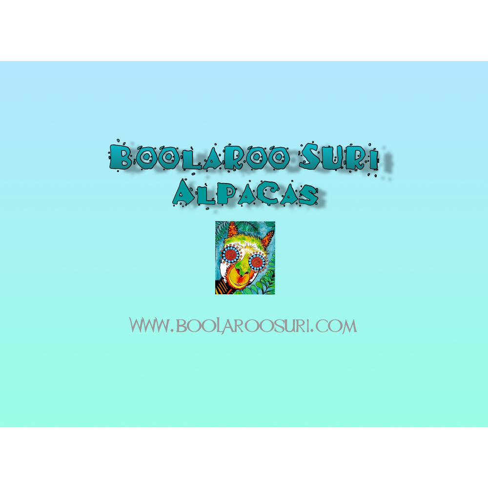 Boolaroo Suri Alpacas |  | 1325 Bloomfield Rd, Crossover VIC 3821, Australia | 0476231656 OR +61 476 231 656
