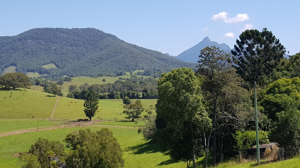 Tweed Regional Gallery & Margaret Olley Art Centre | 2 Mistral Rd, South Murwillumbah NSW 2484, Australia | Phone: (02) 6670 2790