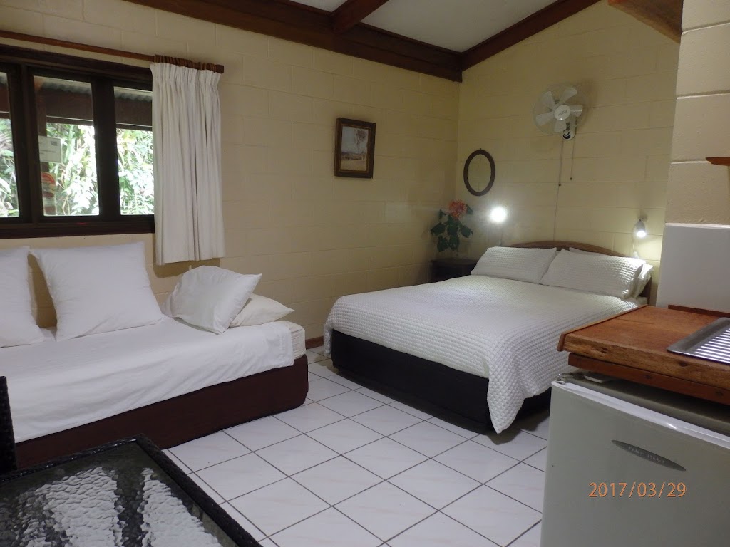 Daintree Deep Forest Lodge | lodging | 2159 Cape Tribulation Rd, Cape Tribulation QLD 4873, Australia | 0411341904 OR +61 411 341 904