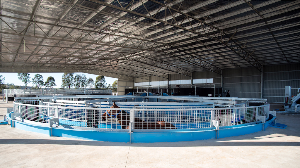 Aquagait Equine Centre |  | Training Centre, Menangle Rd, Menangle Park NSW 2563, Australia | 0402740854 OR +61 402 740 854