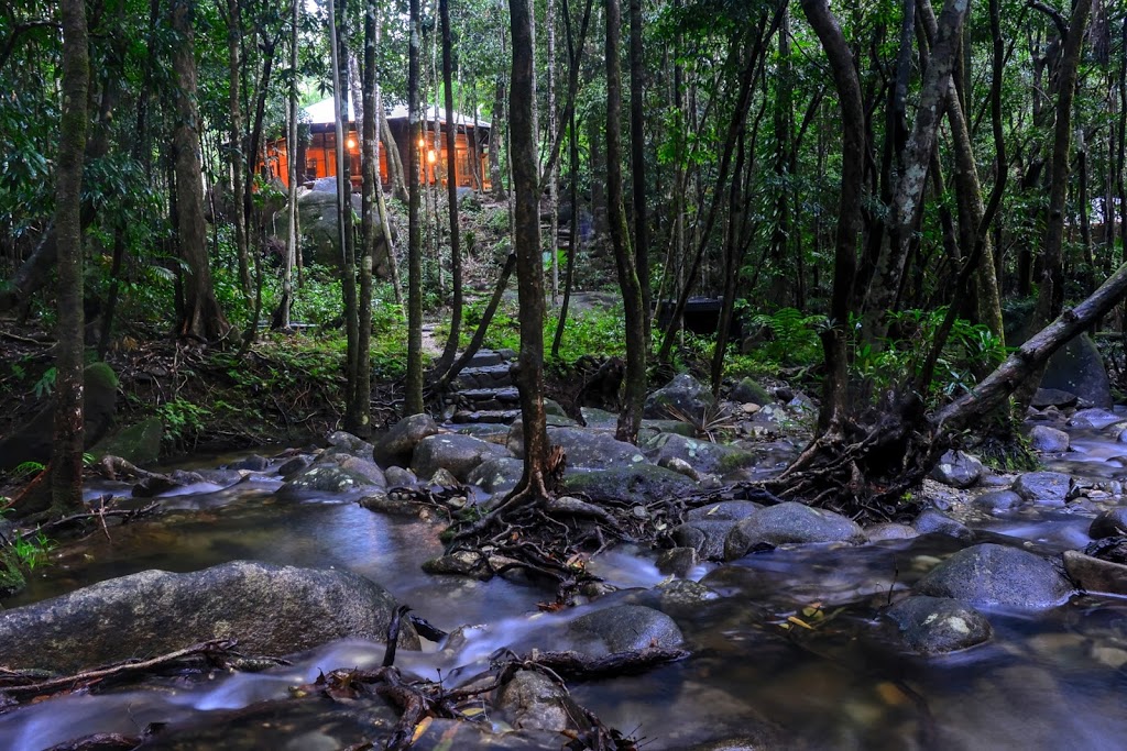 Daintree Cascades | 202 Stonewood Rd, Cape Tribulation QLD 4873, Australia | Phone: 0437 059 908