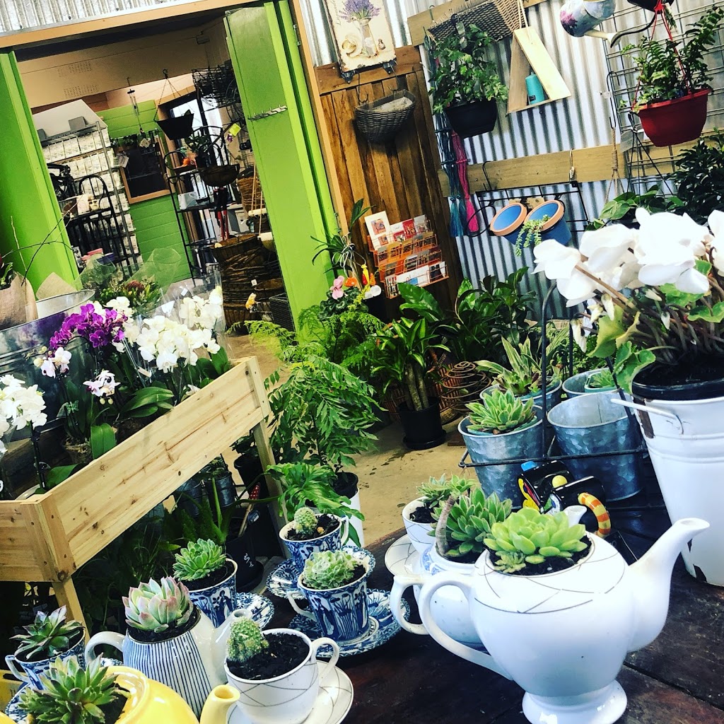 Woodend Nursery | 36 Urquhart St, Woodend VIC 3442, Australia | Phone: 0400 939 656