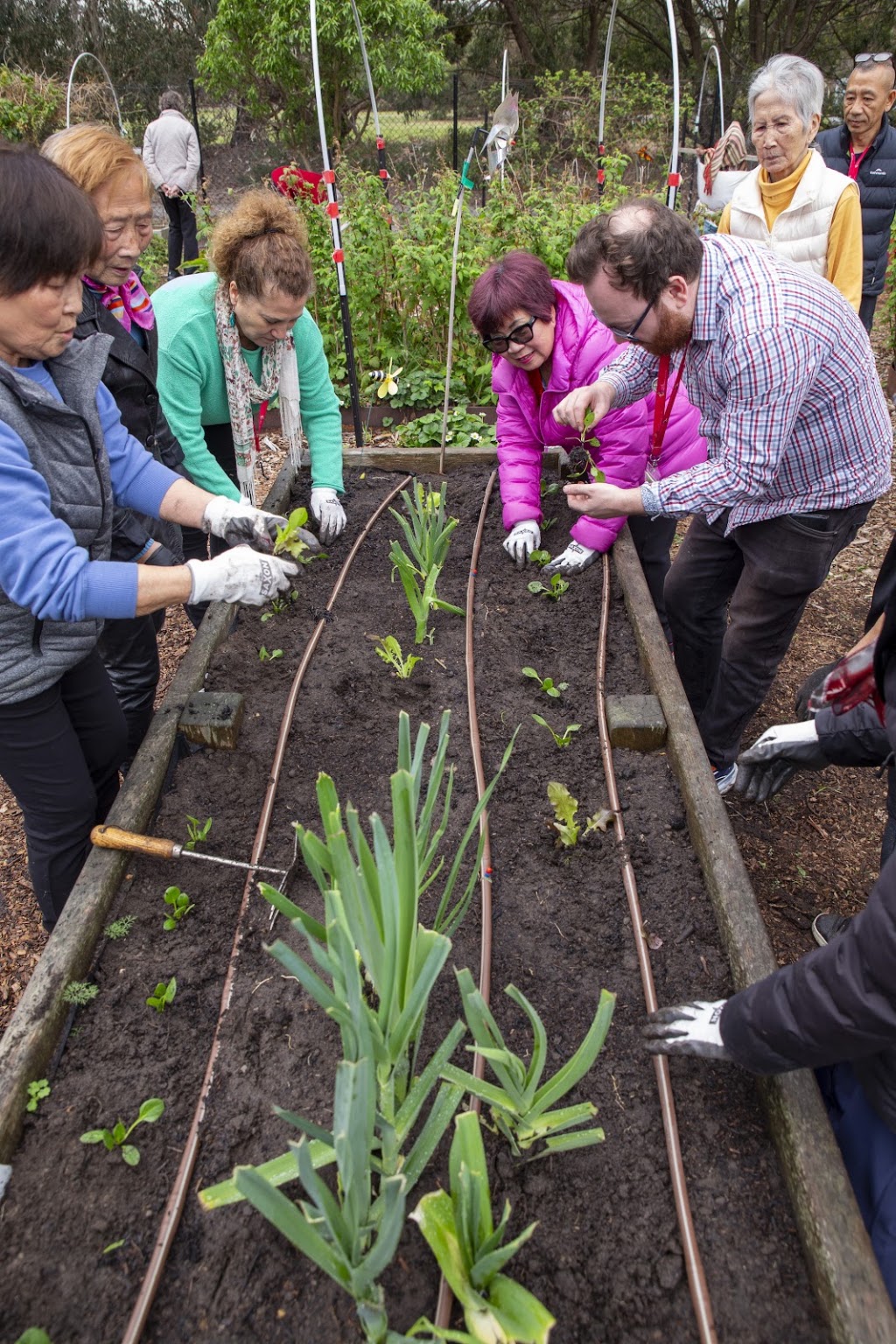 The Hive - SMRC Community Garden | Located inside: Braeside Park, Federation Trail, Braeside VIC 3195, Australia | Phone: (03) 9767 1900