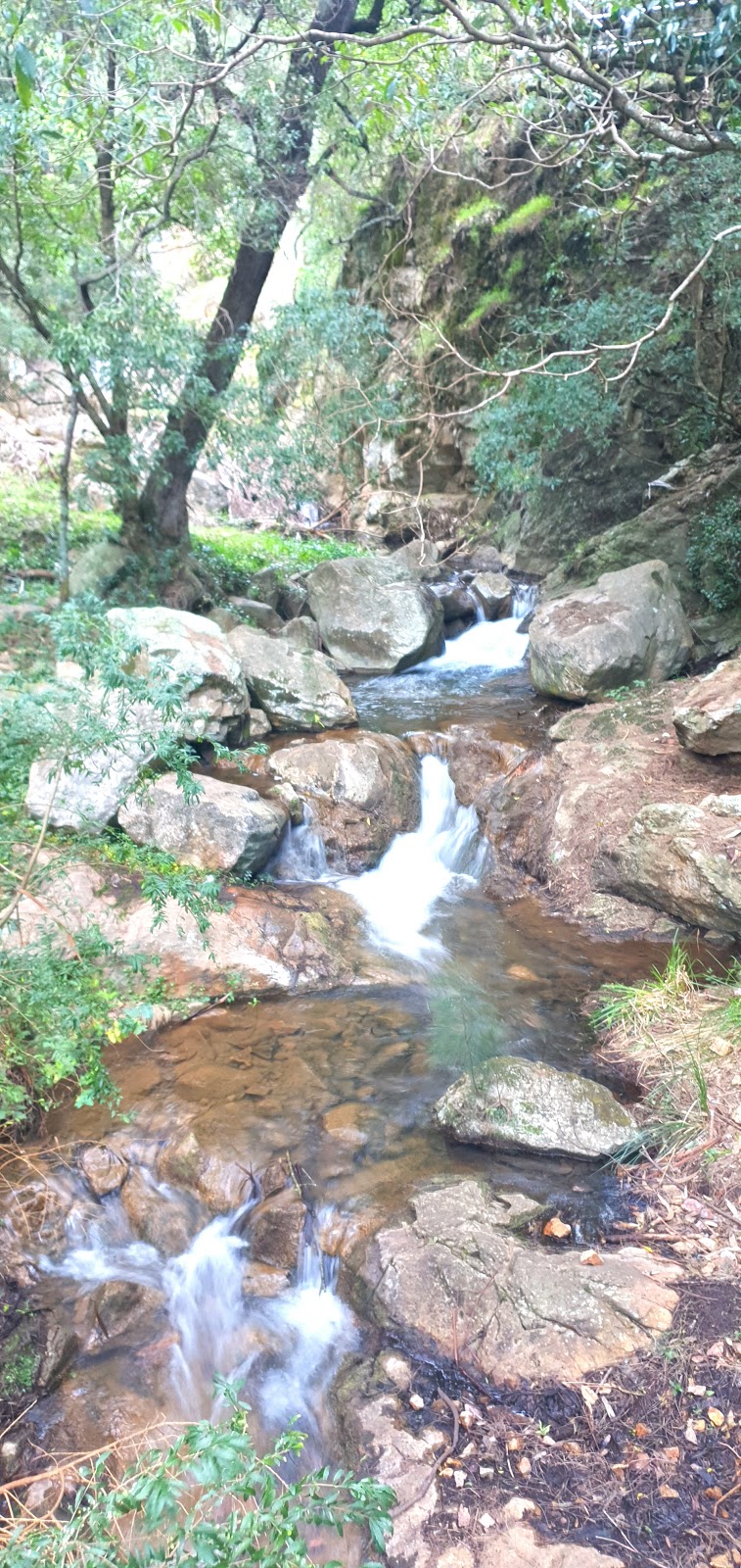 Six Foot Walking Track | tourist attraction | 4654 Jenolan Caves Rd, Jenolan NSW 2790, Australia | 0247878877 OR +61 2 4787 8877