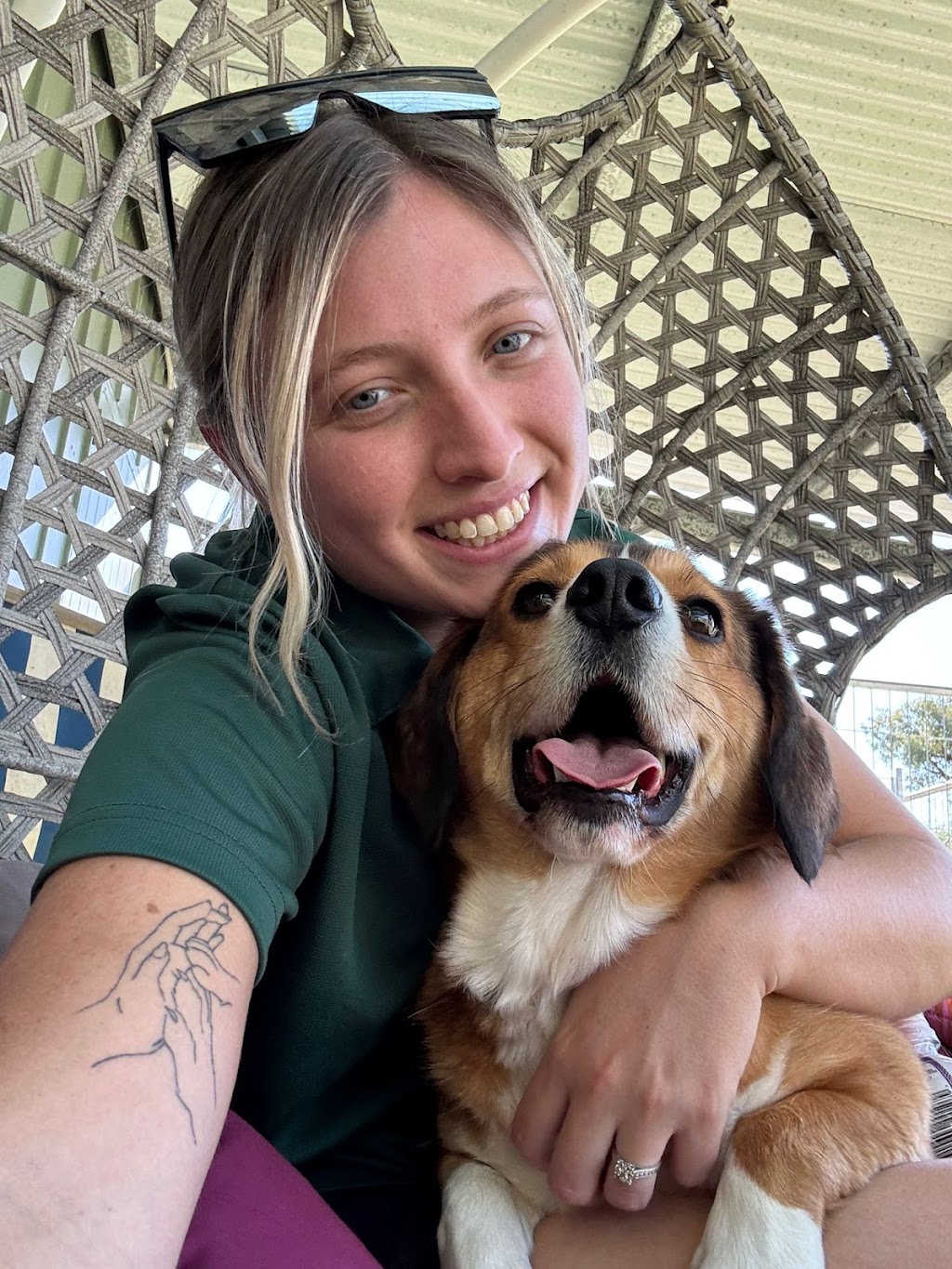 Dogdayz Dog Boarding - Lysterfield | 32 Powells Rd, Lysterfield VIC 3156, Australia | Phone: (03) 9752 7273