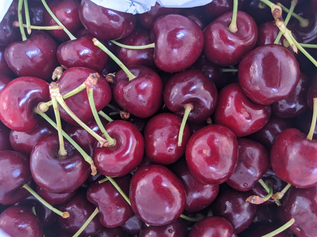 Valley Fresh Cherries and Stonefruits |  | 4179 Olympic Hwy, Young NSW 2594, Australia | 0263843221 OR +61 2 6384 3221