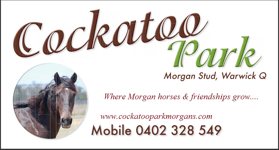 Cockatoo Park Morgan Stud |  | 60 Bentley Rd, Morgan Park QLD 4370, Australia | 0402328549 OR +61 402 328 549