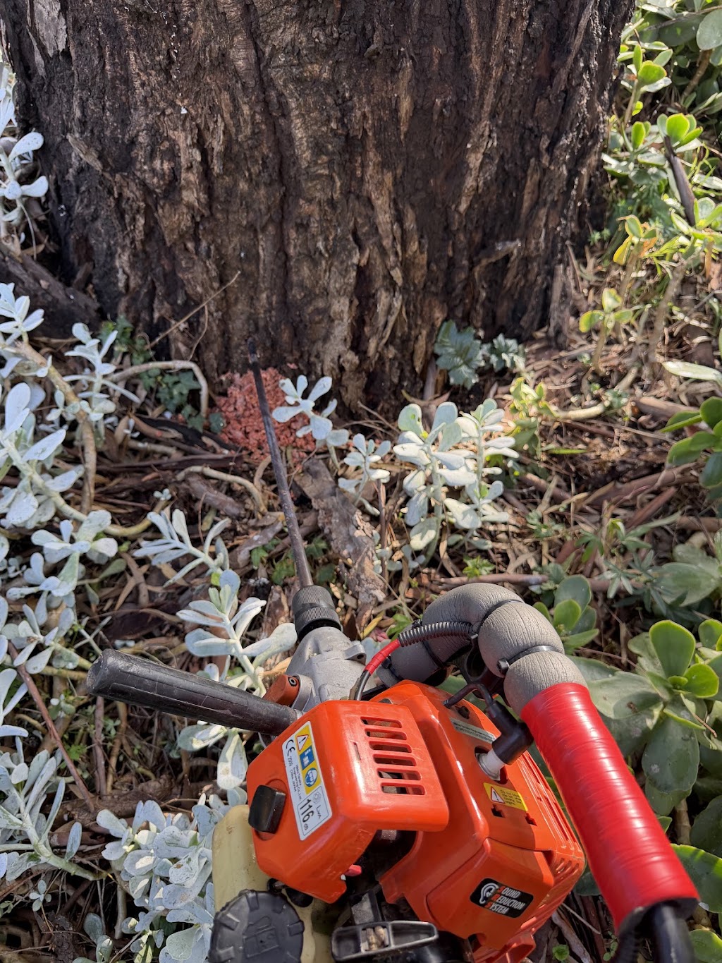 Ultimate pest solutions & property maintenance | 150 River Rd, Kialla VIC 3631, Australia | Phone: 0490 433 357