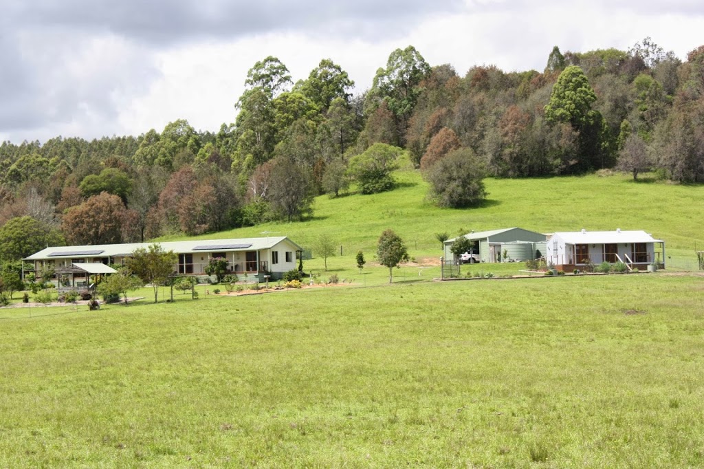 Amani Farm | lodging | 1611 Rollands Plains Rd, Rollands Plains NSW 2441, Australia | 0418902765 OR +61 418 902 765