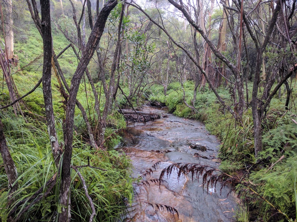 Mugii Murum-Ban State Conservation Area | park | Blackheath NSW 2785, Australia | 0263709000 OR +61 2 6370 9000
