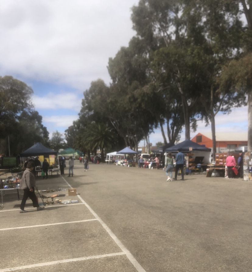 Swan Hill Rotary Market | Curlewis St, Swan Hill VIC 3585, Australia | Phone: 0497 487 976