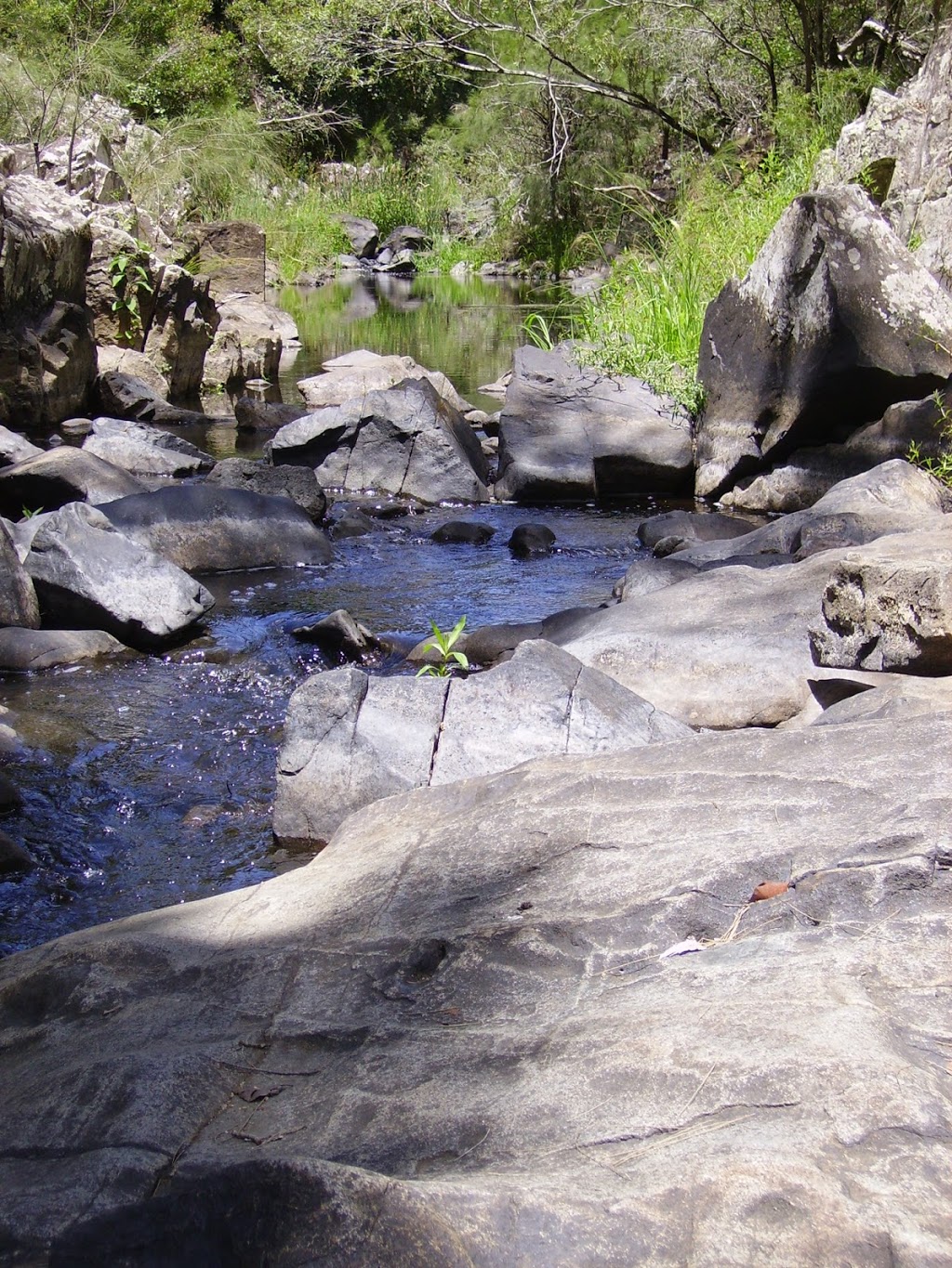 Eungella National Park-Broken River Section | Broken River QLD 4757, Australia