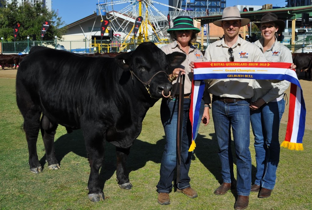 Weetalabah Cattle | Dulacca QLD 4425, Australia | Phone: 0414 253 936