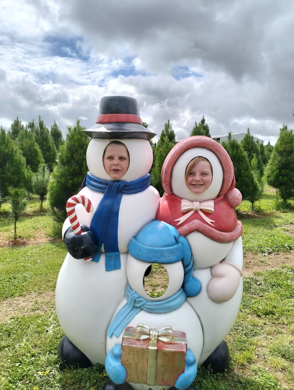 Hynds Pines Christmas Trees | 80 Currie Rd, Drouin South VIC 3818, Australia | Phone: 0438 118 342