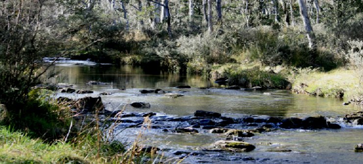 Moffat Falls Cottage & Lodge | lodging | 550 Point Lookout Rd, Ebor NSW 2453, Australia | 0455347600 OR +61 455 347 600