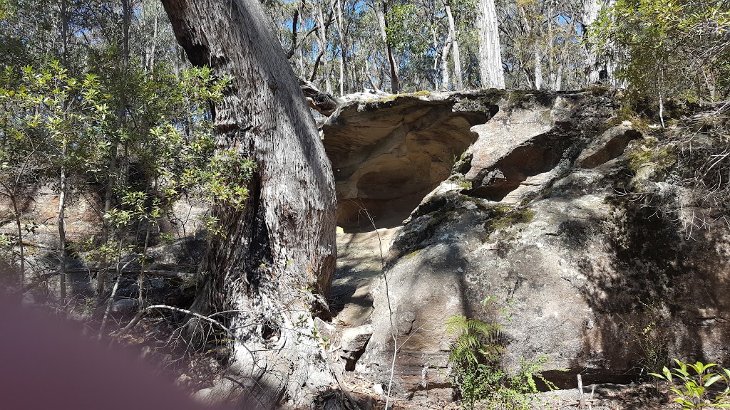 Fairy Bower Falls | tourist attraction | Fairy Bower Walking Track, Bundanoon NSW 2578, Australia | 0248877270 OR +61 2 4887 7270