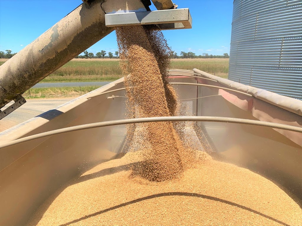 Brahman Commodities | 15 Reapers Rd, Culcairn NSW 2660, Australia | Phone: 0435 855 108