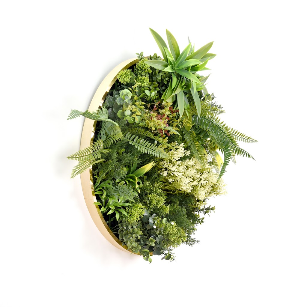 Lush Green Walls | Unit 9/1440 New Cleveland Rd, Chandler QLD 4155, Australia | Phone: (07) 3390 2551