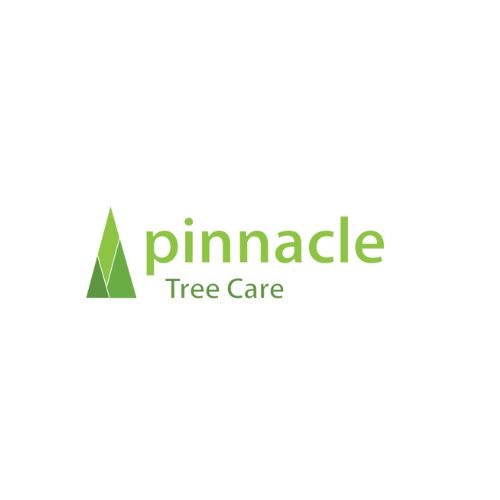 Pinnacle Tree Care | 51 Old Mount Barker Rd, Stirling SA 5152, Australia | Phone: 0434 520 117