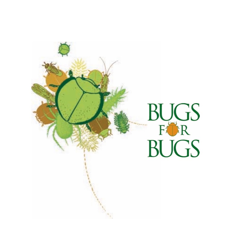 Bugs for Bugs | home goods store | Bowen St, Mundubbera QLD 4626, Australia | 0741654663 OR +61 7 4165 4663