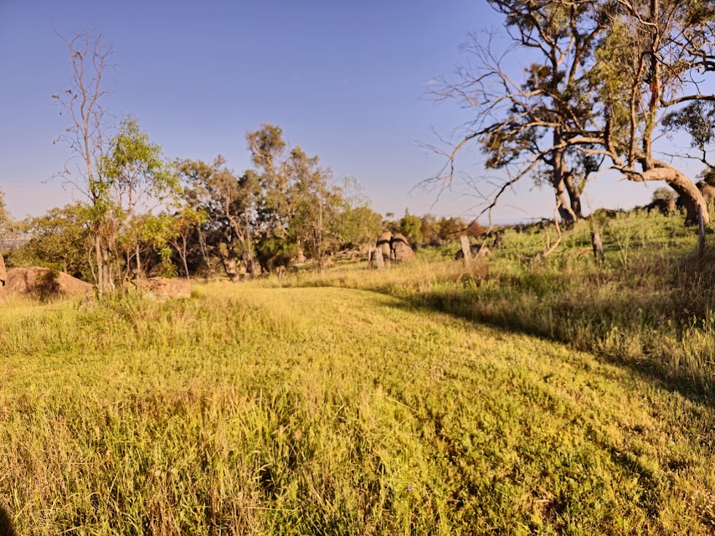 Resteasy Farmstay | 32 Hadabob Rd, Frog Rock NSW 2850, Australia | Phone: 0424 164 824