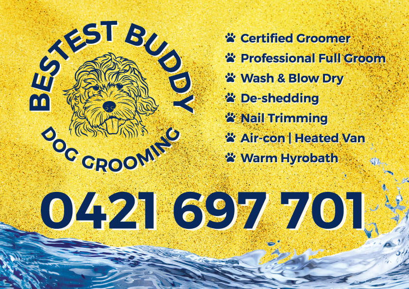 Bestest Buddy Mobile Dog Grooming | 51 Horsfield Rd, Horsfield Bay NSW 2256, Australia | Phone: 0421 697 701