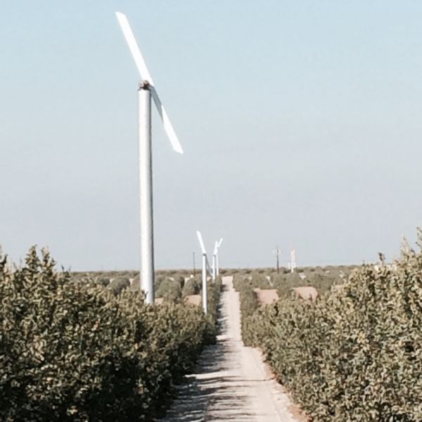 Chinook Frost Fans Australia | 73 Boeill Creek Rd, Boeill Creek NSW 2739, Australia | Phone: 0428 221 848