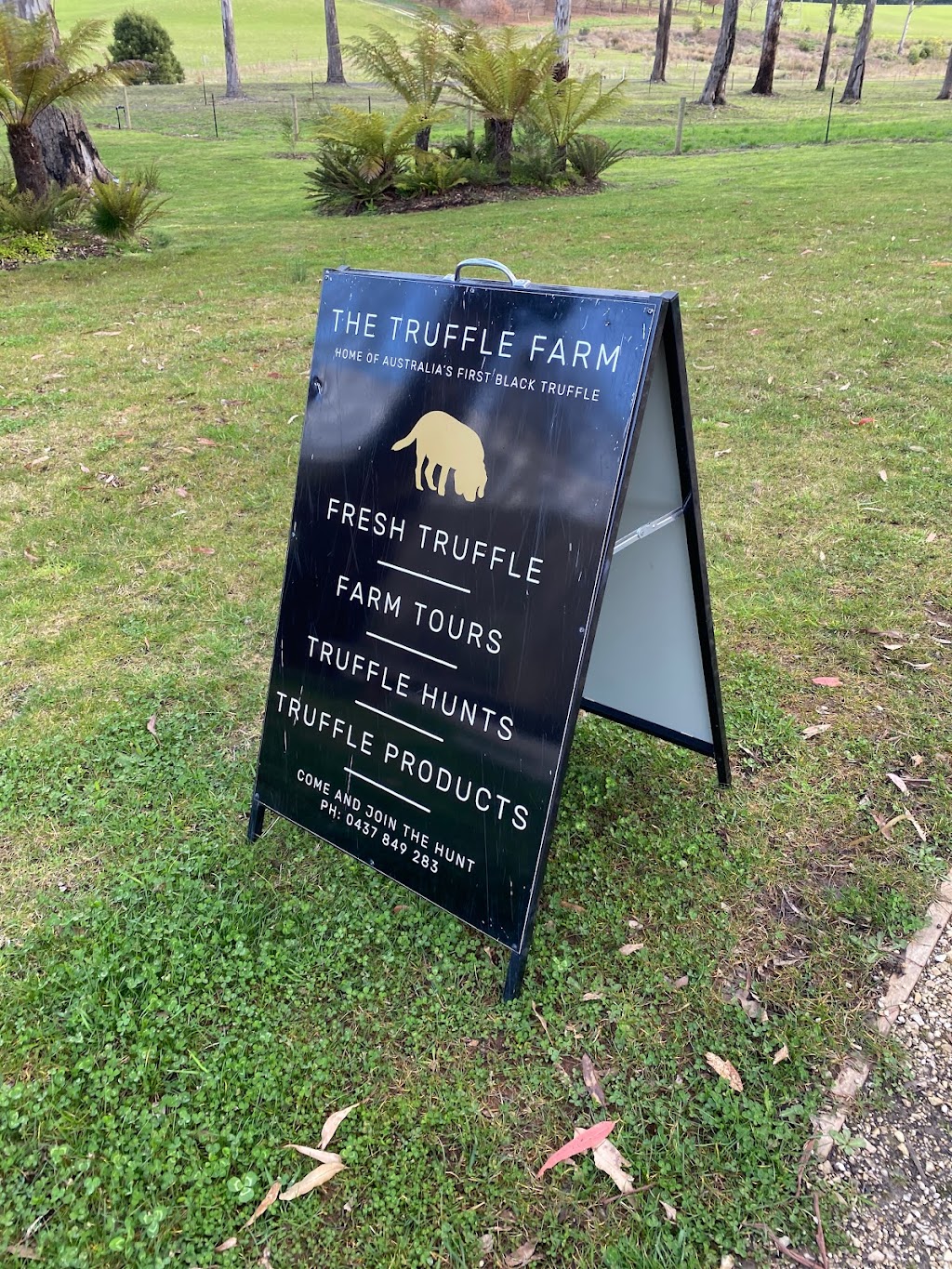 The Truffle Farm Tasmania | travel agency | 844 Mole Creek Rd, Deloraine TAS 7304, Australia | 0437849283 OR +61 437 849 283