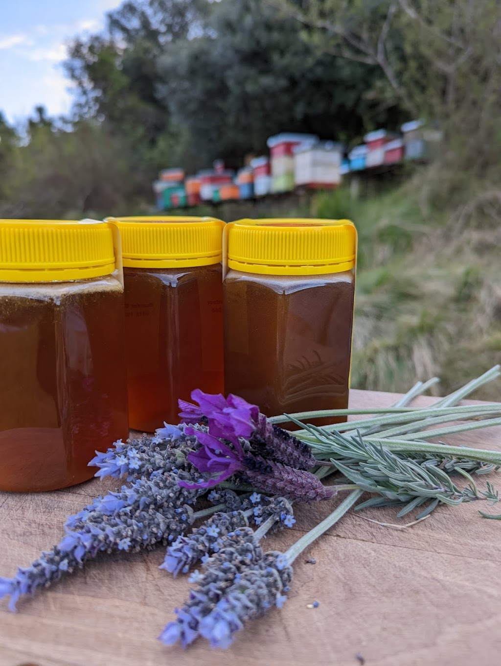 Tiny Farm Sydney | 195 Williamswood Rd, Mount Hunter NSW 2570, Australia | Phone: 0416 196 668