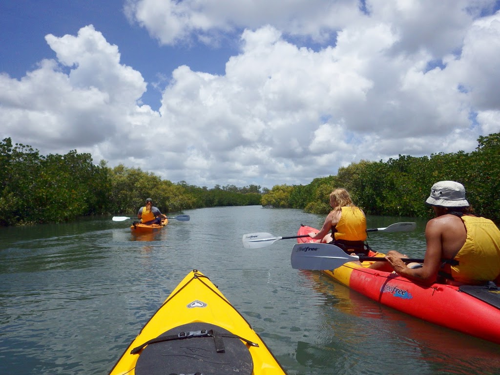 1770 Liquid Adventures | Captain Cook Dr, Seventeen Seventy QLD 4677, Australia | Phone: 0428 956 630