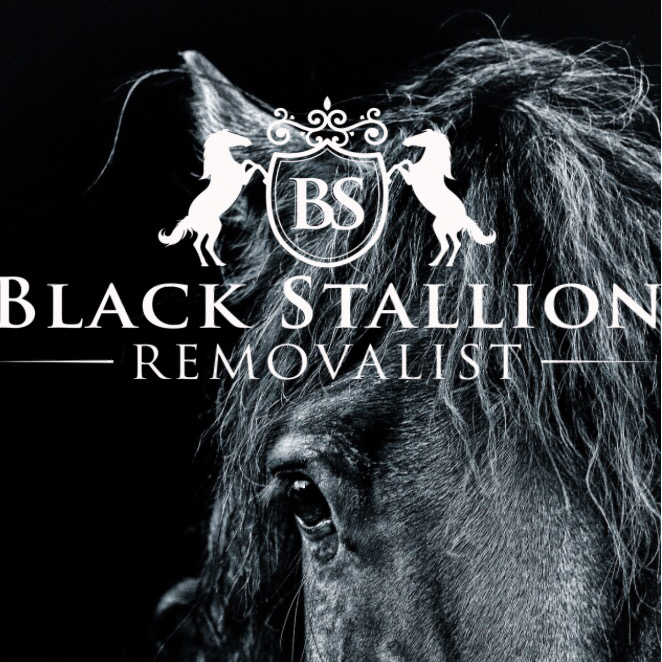 Black Stallion Removalist | 2/47 Todman Ave, Kensington NSW 2033, Australia | Phone: 0468 791 954