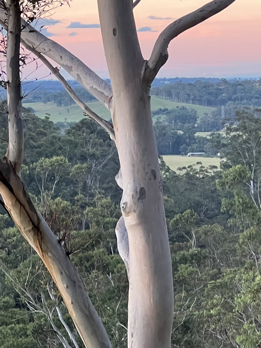 Eagle’s Gorge Waterfall | 195 Theresa View Rd, Theresa Park NSW 2570, Australia | Phone: 1300 011 300