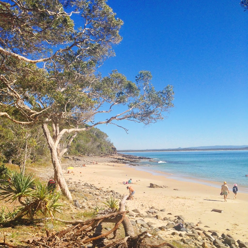 National Park Information Centre | Unit 3/5 Attunga Heights, Noosa Heads QLD 4567, Australia